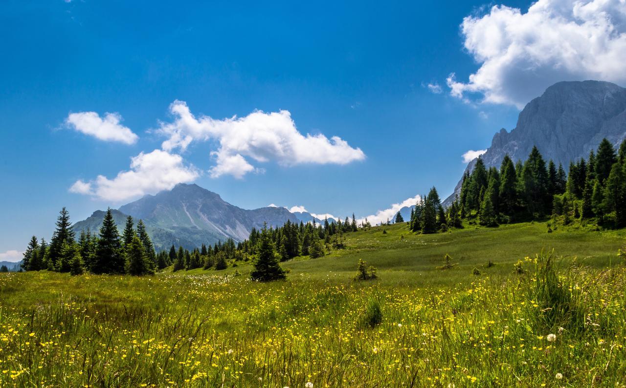 Residence Cavanis Wellness & Spa Sappada Esterno foto