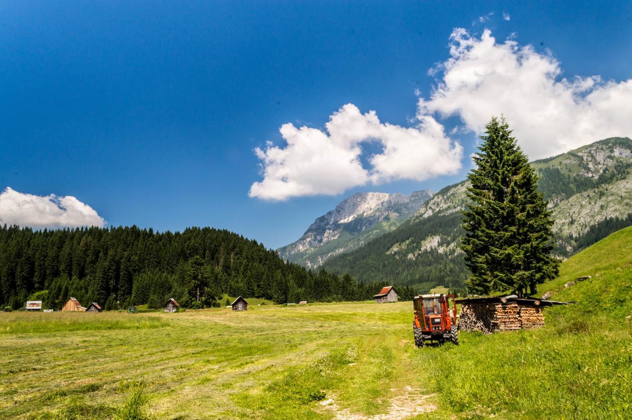 Residence Cavanis Wellness & Spa Sappada Esterno foto
