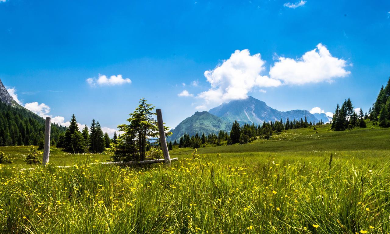 Residence Cavanis Wellness & Spa Sappada Esterno foto